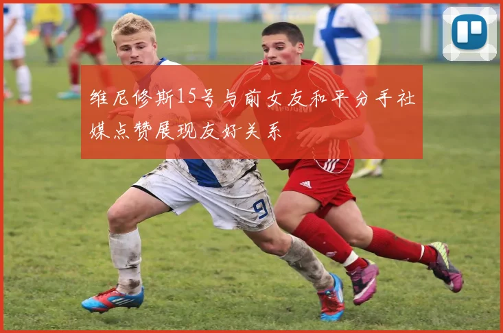 维尼修斯15号与前女友和平分手社媒点赞展现友好关系